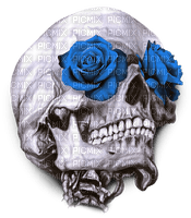 Y.A.M._Gothic skull - png gratuito