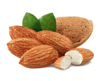 nuts - PNG gratuit