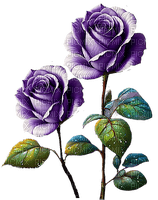 Rosas moradas - фрее пнг