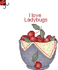 ladybug luv - GIF animado gratis