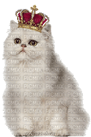 Poes - Free animated GIF
