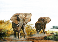 éléphant - ilmainen png