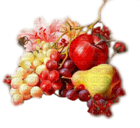 frutas otoño dubravka4 - png ฟรี