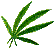 weed turning into a blunt gif smoke - Zdarma animovaný GIF