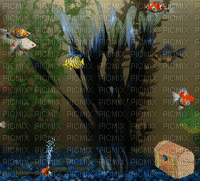 Fish tank - GIF animasi gratis
