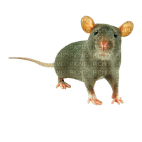 Nina mouse - zdarma png