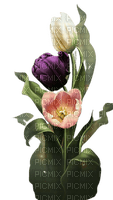 fleurs tulipe - darmowe png