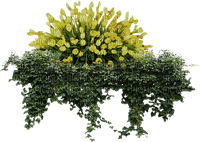Bloemen en Planten - безплатен png