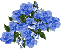 Roses bleues - darmowe png