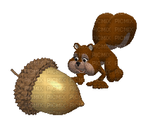 Squirrel and Acorn - GIF animate gratis