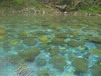 pond background - PNG gratuit