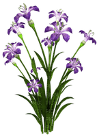 Flores de color moradas - Free PNG