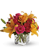Kaz_Creations  Deco Flowers Vase Colours - δωρεάν png