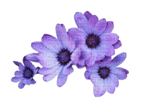 Tube fleur - PNG gratuit