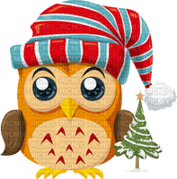 Kaz_Creations Owl Owls - бесплатно png