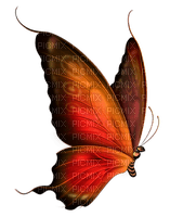 papillon orange - nemokama png