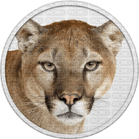 mountain lion bp - ücretsiz png