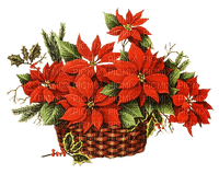 christmas noel red flowers - gratis png