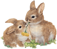 Kaz_Creations Easter Deco Bunny Rabbit - фрее пнг