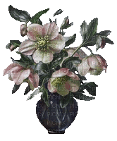 Christrosen, Vase - Δωρεάν κινούμενο GIF