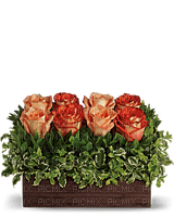 Kaz_Creations  Flowers Vase Plant - бесплатно png