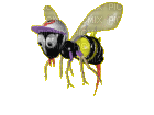 abeille - GIF animado gratis
