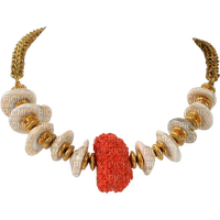 seashell necklace, jewelelry, sunshine3 - безплатен png