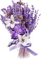 soave deco laventer flowers branch  purple   white - zdarma png