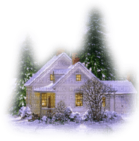 winter hiver garden jardin neige  snow   fond background    house haus maison campagne landscape paysage  night nuit evening tube