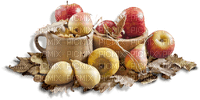apple apfel pomme autumn - gratis png