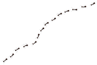 Ant Trail - kostenlos png