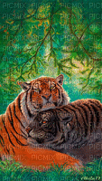 tigre - Бесплатный анимированный гифка