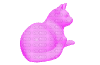 pink cat - Gratis animerad GIF