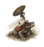 fairy frog - Free PNG