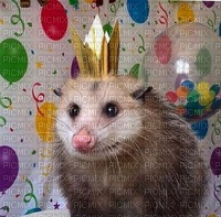 birthday possum - Free PNG