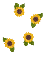 Falling Sunflowers - GIF animado gratis
