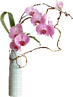 Blumen - GIF animado gratis