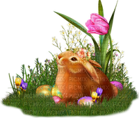 Easter.Cluster.Bunny.Rabbit.Flowers.Eggs.Grass - png gratis