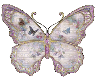 chantalmi papillon butterfly mauve purple rose pink - GIF animé gratuit