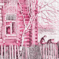 soave background animated winter vintage house cat - 免费动画 GIF