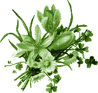 fleur vert - 免费动画 GIF