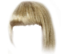 парик   hair - 無料png