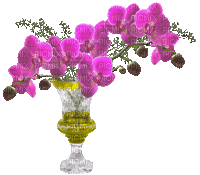 Bloemen en Planten - Бесплатни анимирани ГИФ