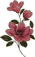 dark-pink flowers - Безплатен анимиран GIF