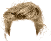 Haare Perücke - nemokama png
