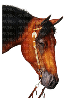 caballo - фрее пнг