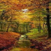 autumn  background - zdarma png