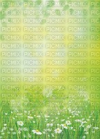 spring background - 無料png