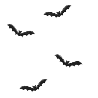 kuş - 無料のアニメーション GIF
