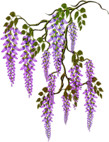 fleur violette.Cheyenne63 - zadarmo png
